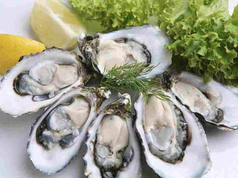 Oyster Benefits For Hair
