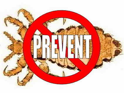Head Lice Prevention