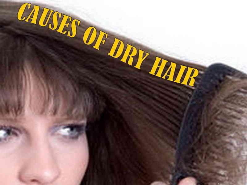 Causes Of Dry Hair