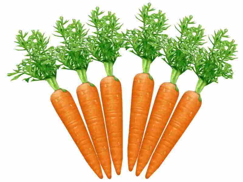 Carrot Benefits For Hair