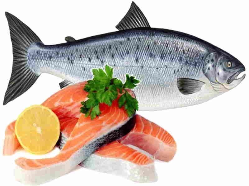 Salmon Benefits For Hair