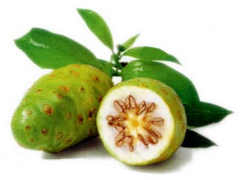 Noni Benefits For Hair