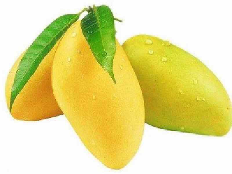 Mango Benefits For Hair Growth