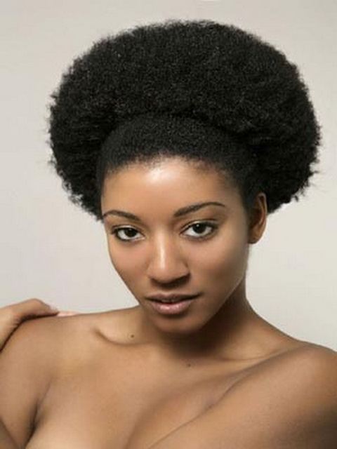 Afro Hairstyles For Women