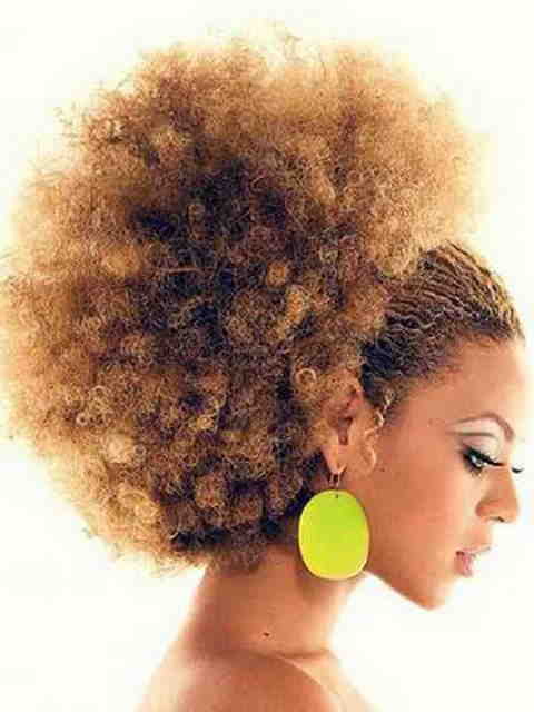 Afro Hairstyles For Women